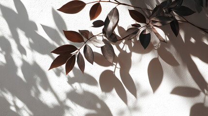 Fototapeta premium shadow overlay effect of realistic abstract natural tree leaves shadow on white wall background,summer sunlight abstract shadow overlay Stock Illustration