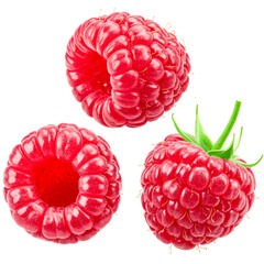 Vibrant Raspberry Trio: A close-up shot of three luscious raspberries, showcasing their intricate textures and vibrant color, ready to tantalize the taste buds.