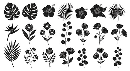 Vast array of stunning black silhouette illustrations featuring various tropical and garden flowers along with elegant leaves, ideal for creative design projects and botanical assets