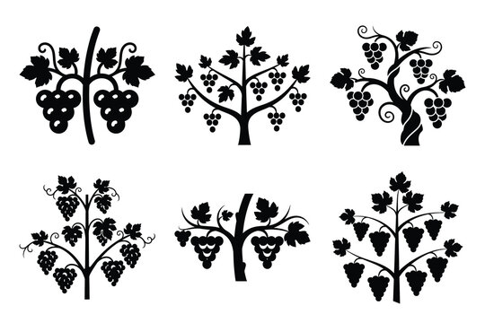 simple farm  grapevine symbol silhouette icon set. Agriculture, farming silhouette icons