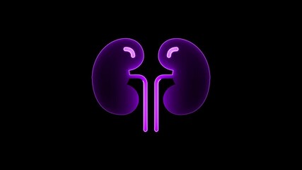 Glowing Human kidney icon animation. This renal system symbol is a neon kidney animation. Glowing Human kidney icon animation. neon kidney animation 4k video ...