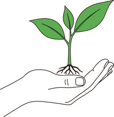 Hand holding a vibrant green sprout representing growth and sustainability