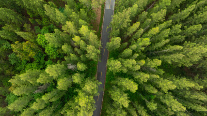 Aerial view of dark green forest road and white electric car Natural landscape and elevated roads...