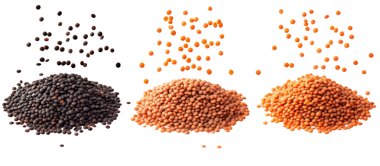 Three piles of black lentils brown lentils and red lentils falling on transparent background