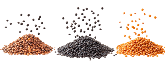 Three piles of black lentils brown lentils and red lentils falling on transparent background