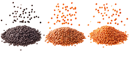 Three piles of black lentils brown lentils and red lentils falling on transparent background