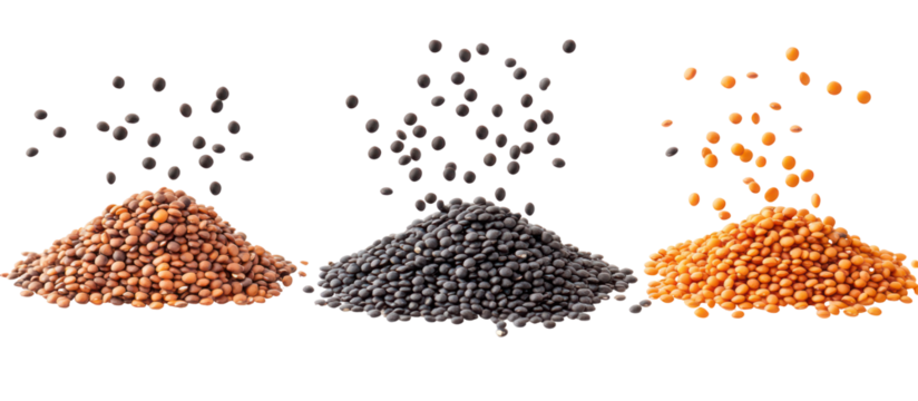 Three piles of black lentils brown lentils and red lentils falling on transparent background
