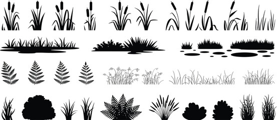 Comprehensive vector silhouette set of wetland, aquatic plants, cattails, reeds, ferns, and grass isolated icons for nature landscape design.