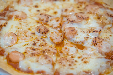 Close-up of a freshly baked cheese pizza with grilled chicken pieces and melted mozzarella toppings