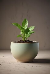A delicate green sprout grows from the inside of a ceramic bowl used as a makeshift planter for a small plant ,  sprouting,  growth