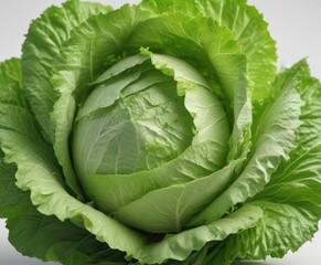 Close-up of a single head of iceberg lettuce with delicate leaves, set against a soft white background,  green,  salad