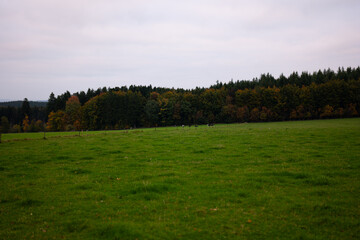 rural landscape in Luxembourg on a ward evening