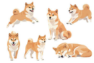 Shiba Inu Dog Isolated On White Background Flat Vector Illustration