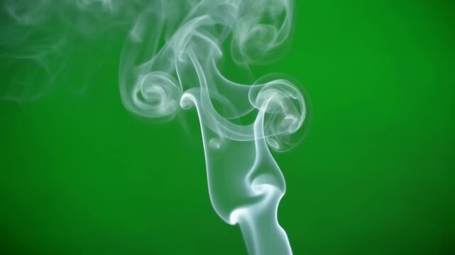 Delicate, sinuous white smoke drifts across the dense green screen background, creating abstract patterns and shapes.&nbsp;The slow and elegant movement of smoke is ideal for use as an overlay, backgroundd