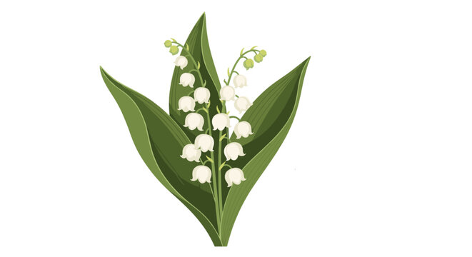 A beautiful illustration of a delicate lily of the valley flower with white bell-shaped blossoms and green leaves.
