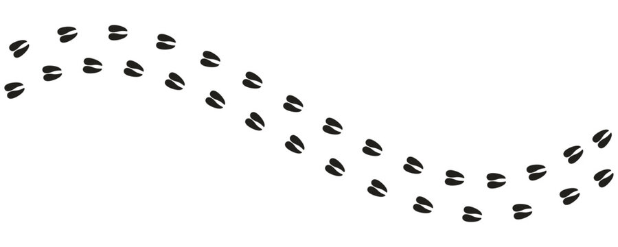 Set of minimalist animal hoof print icons with transparent background, depicting wildlife tracks, forest paths, and wilderness trails, vector illustration