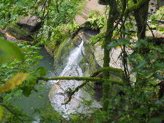 A creek in the quiet forest