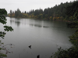 Autumn River in the Oregon Forrest