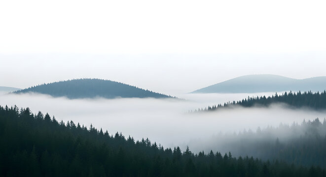Misty evergreen forest covering rolling hills in atmospheric fog. - Powered by Adobe