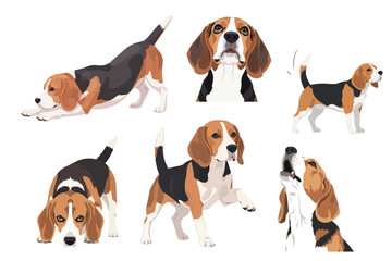 Beagle Dog Isolated On White Background Flat Vector Illustration