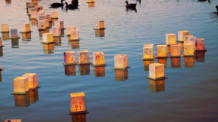 beautiful water lantern setting at a duck park © Kandii_Vida