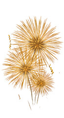 Fototapeta premium Golden fireworks with streamers on white background celebration