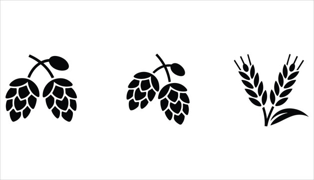 Black silhouette icons of hops and wheat ears on white background hop cones barley