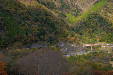 Abt System Locomotive on the Ikawa Line near Nagashima Dam, Shizuoka / Steep Gradient Railway and Autumn Mountain Scenery