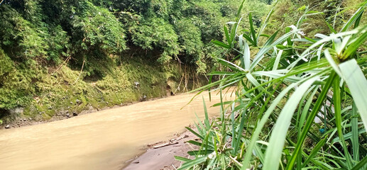 Sungai, Batu, Pohon, Hutan, Langit, Hijau, Alam, Alami