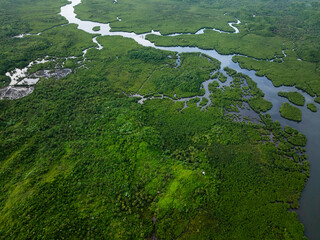 Mangrove forest with winding river channels and tropical green hills covered with dense vegetation. Siargao, Philippines.