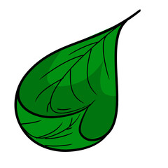 Wavy Green Leaf Vector Illustrations. Flowing, Curvy Foliage Elements Collection for Nature, Organic, and Graphic Design Icons