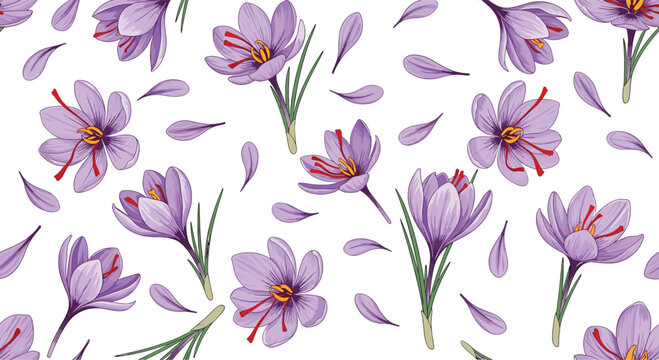 Elegant seamless pattern featuring hand-drawn purple saffron flowers with striking red stigmas and scattered petals on a crisp white background.