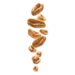 Aerial wheat levitates on a white background
