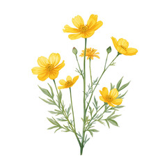 Obraz premium Yellow Flower Plants PNG Isolated on Transparent Background