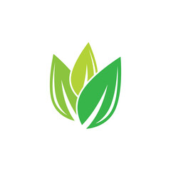 Green Leaf logos vector and symbol