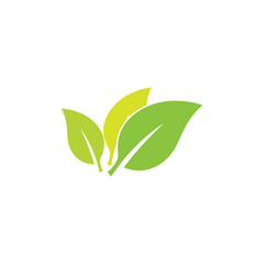 Green Leaf logos vector and symbol