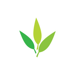 Green Leaf logos vector and symbol