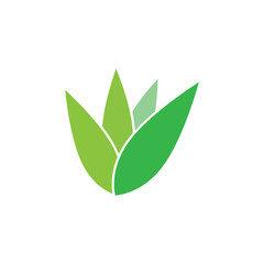 Green Leaf logos vector and symbol