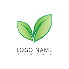 Green Leaf logos vector and symbol
