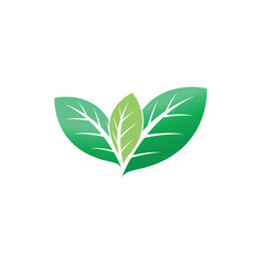 Green Leaf logos vector and symbol