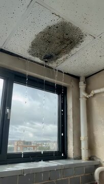 4K footage of an office or residential ceiling showing water damage and fungal growth emphasizing structural deterioration rainy weather impact and building maintenance or home repair issues 