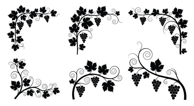 Collection of decorative black silhouette grapevine corner elements with leaves and grapes for elegant frames and design borders.