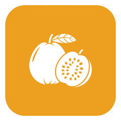 Guava fruit illustration on square background with whole and halved fruit offering a vibrant and tropical touch perfect for health and food related designs