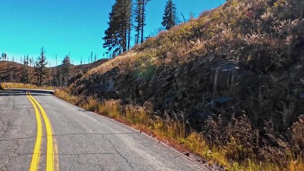 A scenic drive through the remaining autumn colors along Ski Run Road, ascending to more than 10,000 feet, in the mountains of the Lincoln National Forest, outside Alto, New Mexico - Powered by Adobe