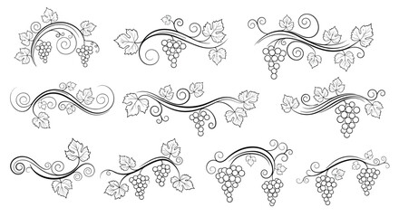 A large set of elegant black and white grapevine swirl designs perfect for creating vintage borders dividers and ornaments.