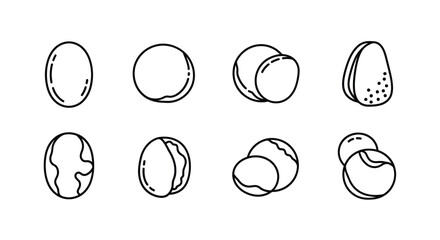 Set of macadamia nuts isolated on white background in different variations