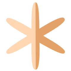 Minimalist Six-Pointed Star or Snowflake Element in Peach Tone