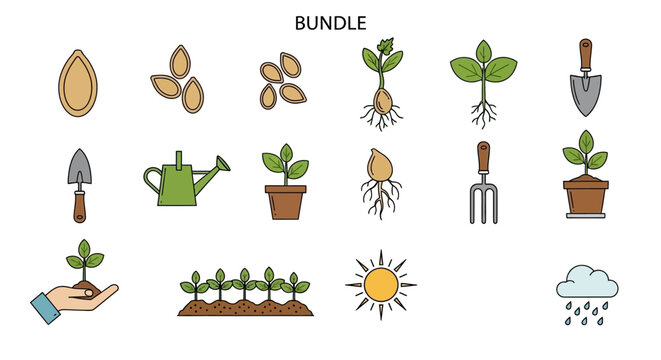 Illustration of plant growth stages, gardening tools, and weather elements.