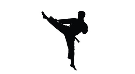 Abstract geometric silhouette design with vibrant color accents and bold typography elements silhouette