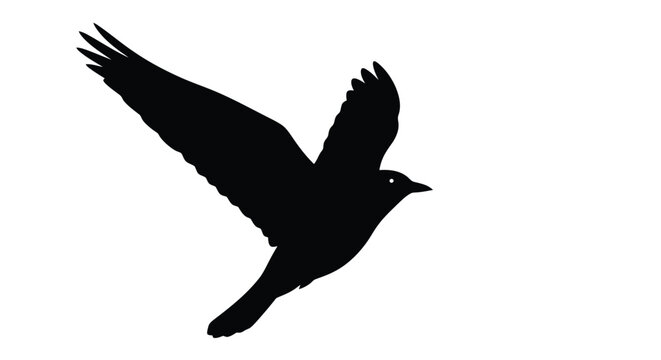 Abstract geometric silhouette design with vibrant color accents and bold typography